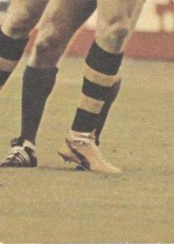 1976 Scanlens VFL #11 Peter Welsh Back